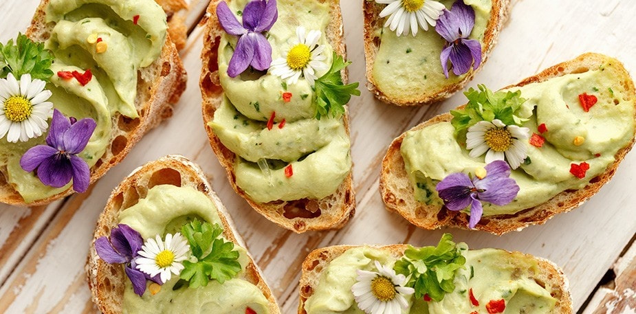 Hop on these plant-based protein trends for your restaurant