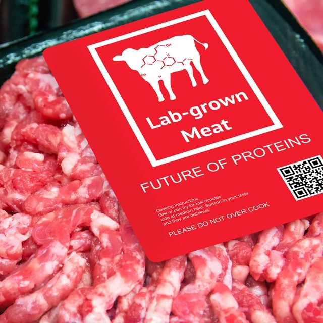Plant-Based Meat vs Lab-Grown Meat: The Future of Non-Animal Meat