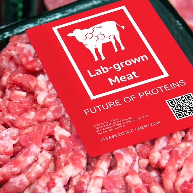 Plant-Based Meat vs Lab-Grown Meat: The Future of Non-Animal Meat
