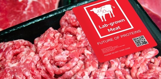 Plant-Based Meat vs Lab-Grown Meat: The Future of Non-Animal Meat