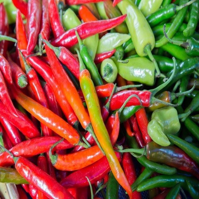Chipotle peppers Chipotle peppers