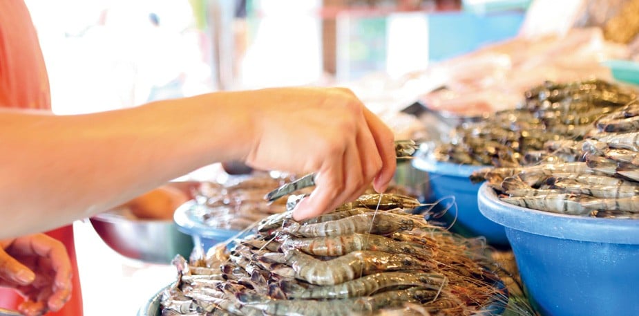 8 Most Common Foods That Cause Allergies