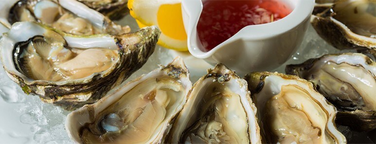 Oysters are everywhere Oysters are everywhere