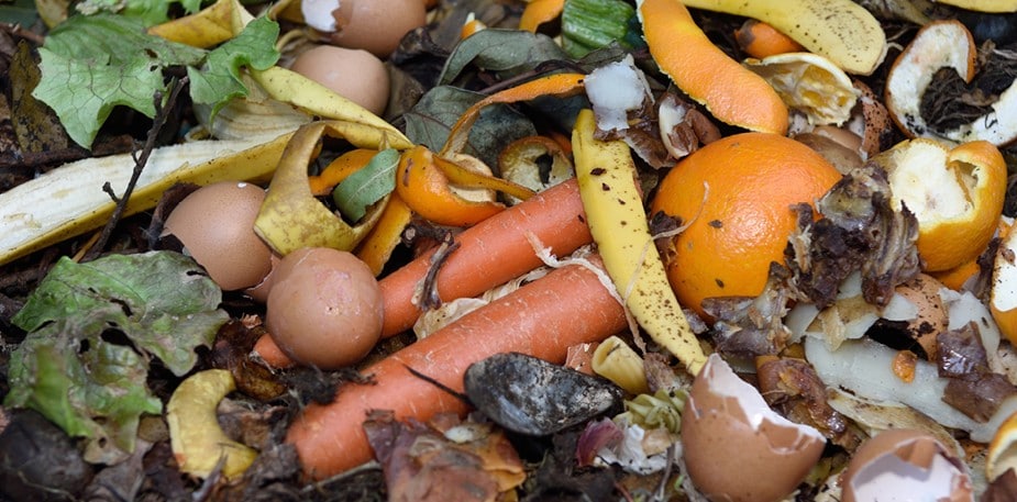 Effective Kitchen Waste Management for Restaurants