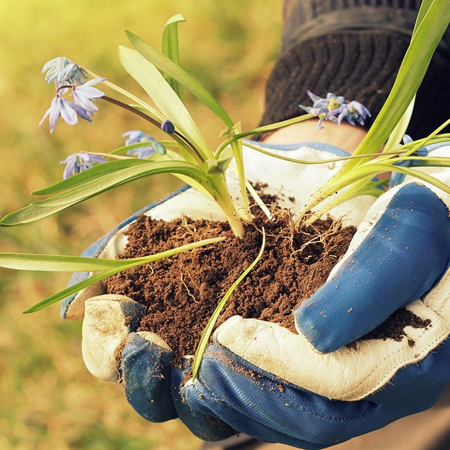 3 Facts About Sustainably Sourced Ingredients That’ll Make You Go WOW