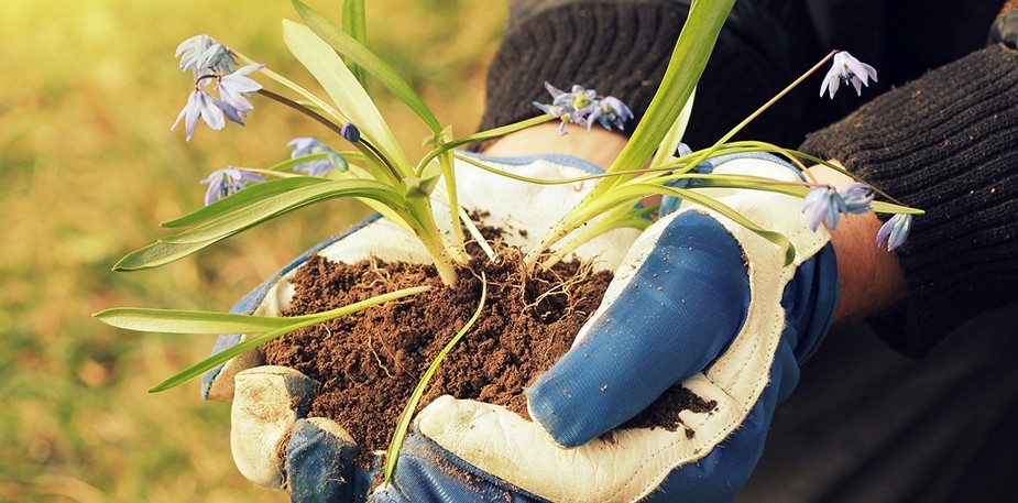 3 Facts About Sustainably Sourced Ingredients That’ll Make You Go WOW