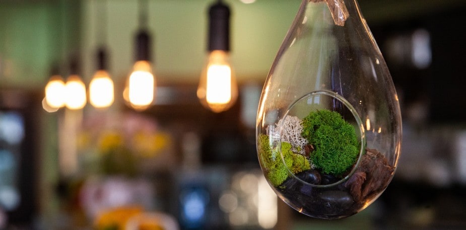 5 Ways to Improve Sustainability in Your Restaurant