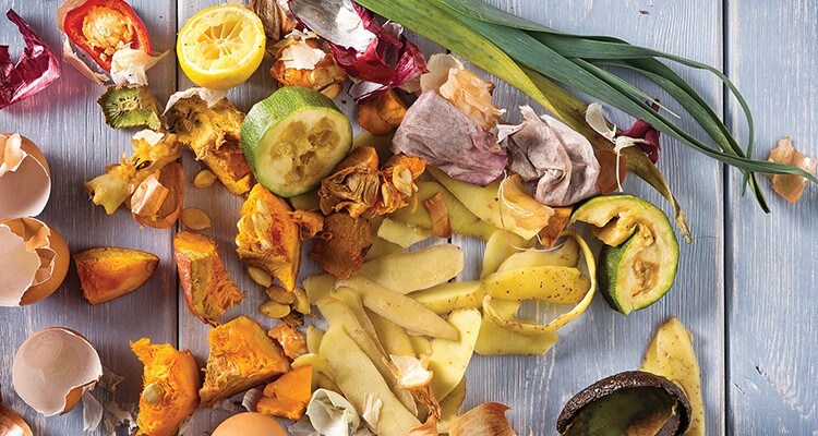 food waste food waste