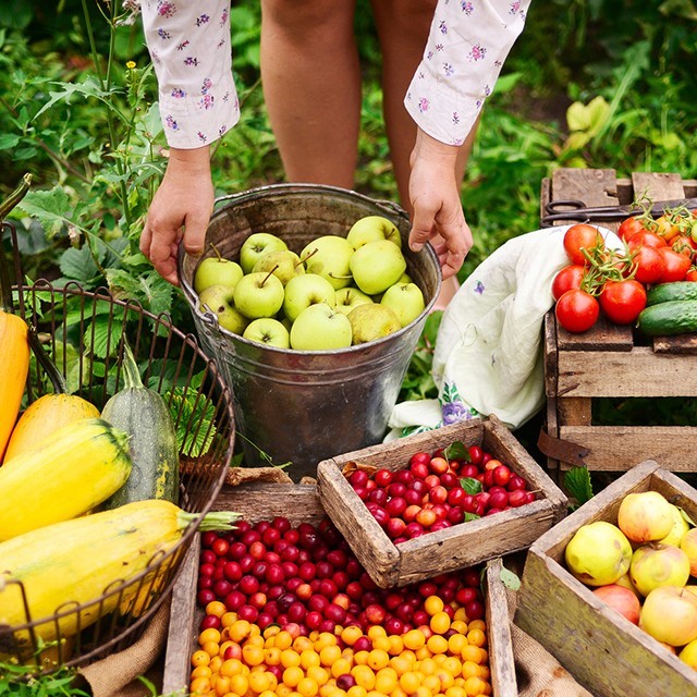 Unilever’s Green Aspirations