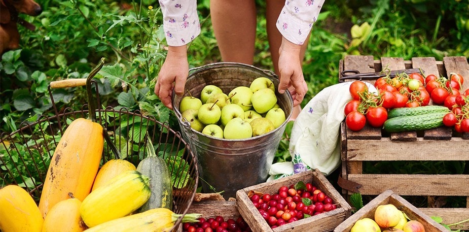 Unilever’s Green Aspirations