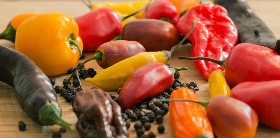The Spiciest Chillies in the World, Ranked