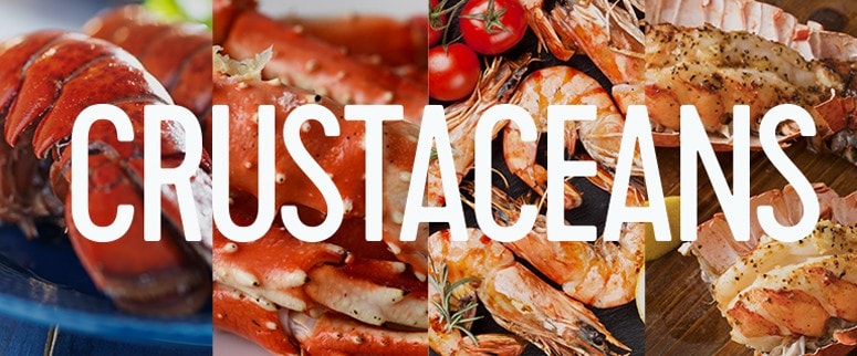 crustaceans crustaceans