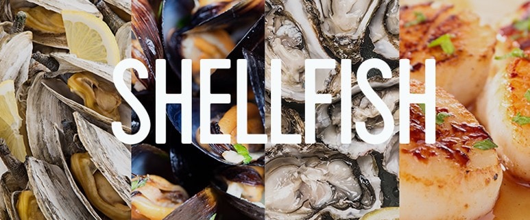 shellfish shellfish