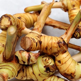 蓝姜（泰国生姜）