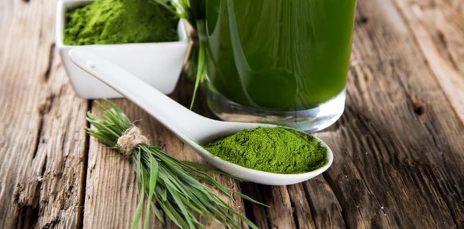 为什么健康拥护者为小麦草而发狂